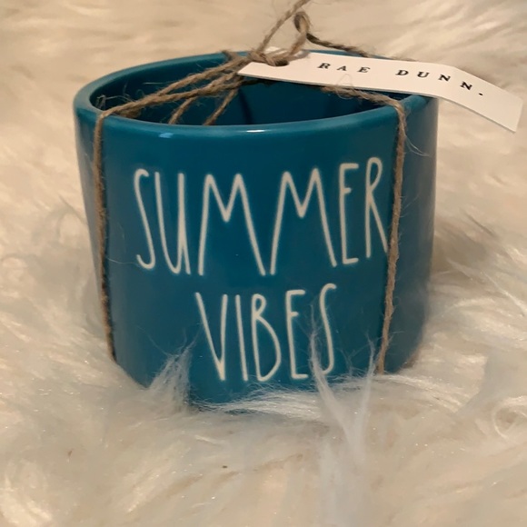 Rae Dunn Summer Vibes Planter Collection - Picture 1 of 3